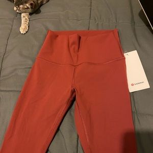 Brand new WunderUnder HR Tight 25” flux size 4